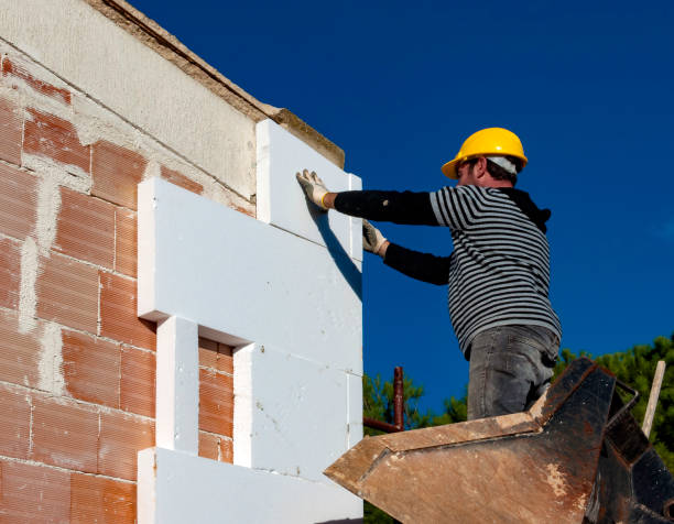 Best Insulation Installation Services in Long Creek, IL