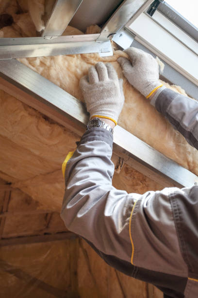 Best Energy Efficiency Solutions in Long Creek, IL
