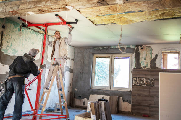 Best Residential Insulation in Long Creek, IL
