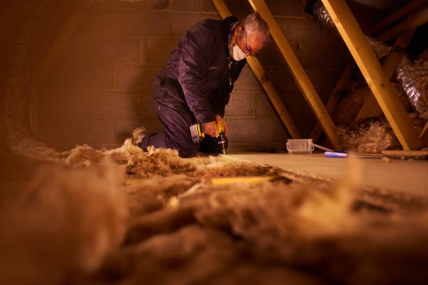 Best Specialty Insulation in Long Creek, IL